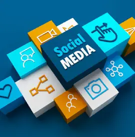 Social Media Management in Tamparam