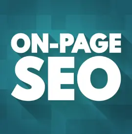 on-page seo service in tamparam