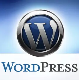 wordpress website